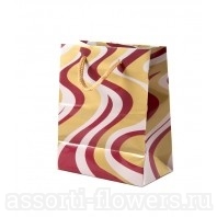 Пакет с линиями 11*14см