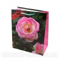 Пакет 26*33см